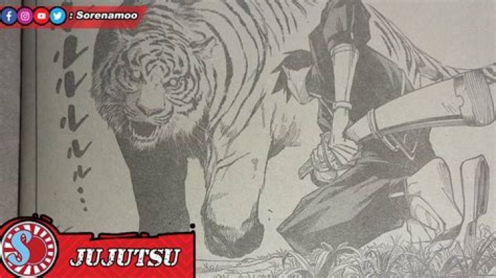 呪術廻戦248話RAWネタバレ完全解説｜最新展開を徹底考察